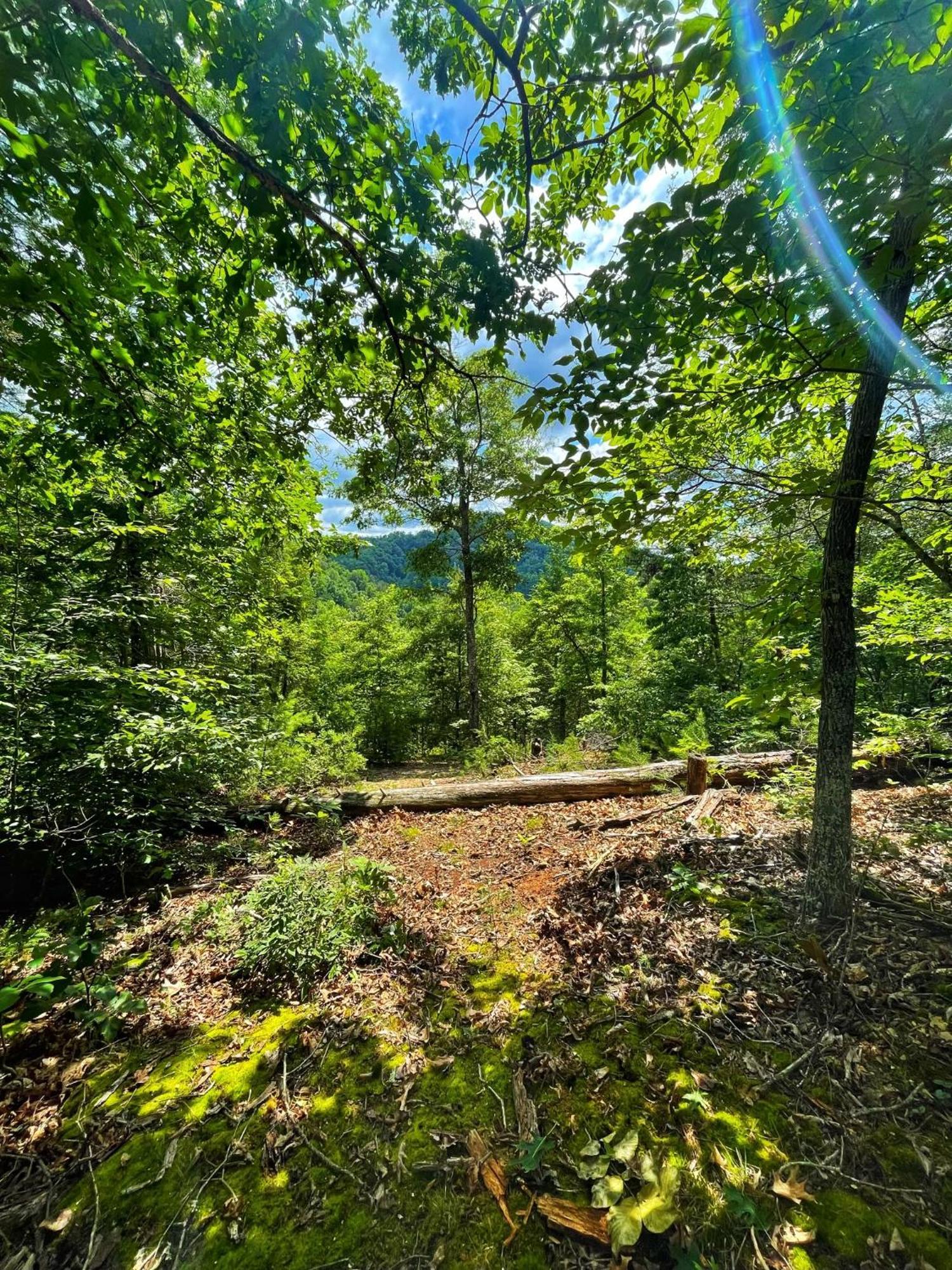 Tiny House, Wifi,Hot Tub,Secluded Villa Cosby Exterior photo