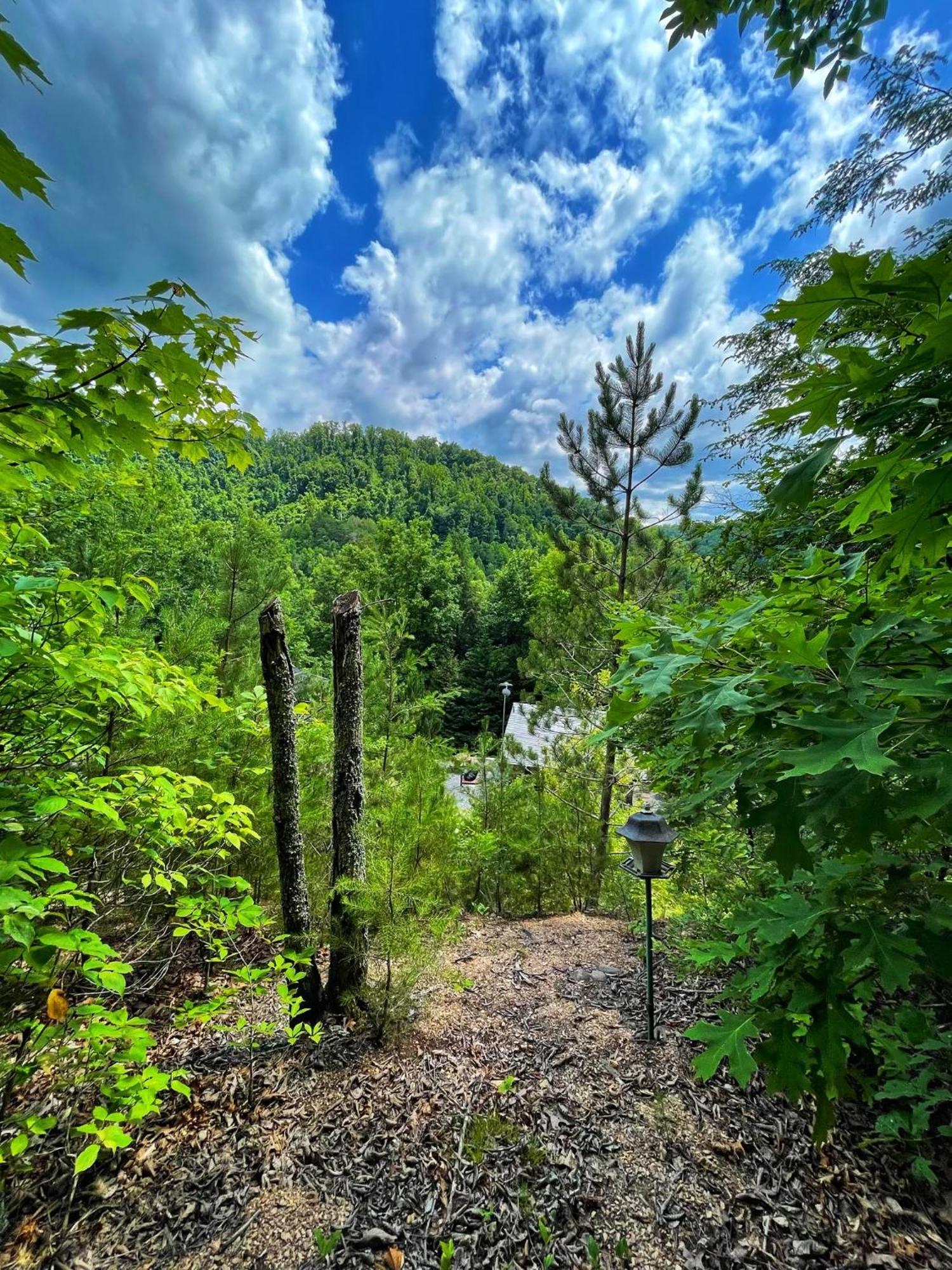 Tiny House, Wifi,Hot Tub,Secluded Villa Cosby Exterior photo